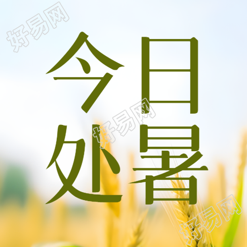 今日处暑小麦丰收美景微信公众号次图