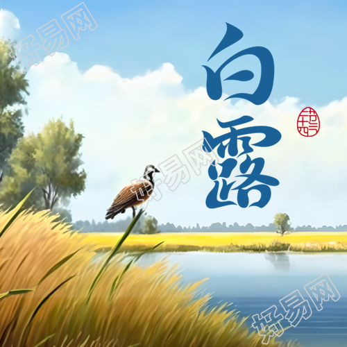 白露时节鸿雁归来创意微信公众号次图