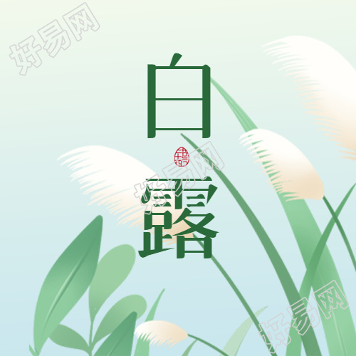 卡通风格芦苇白露节气微信公众号次图