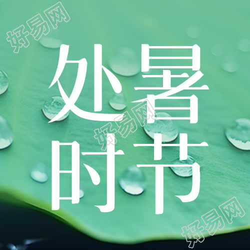 二十四节气处暑荷叶露珠简约微信公众号次图