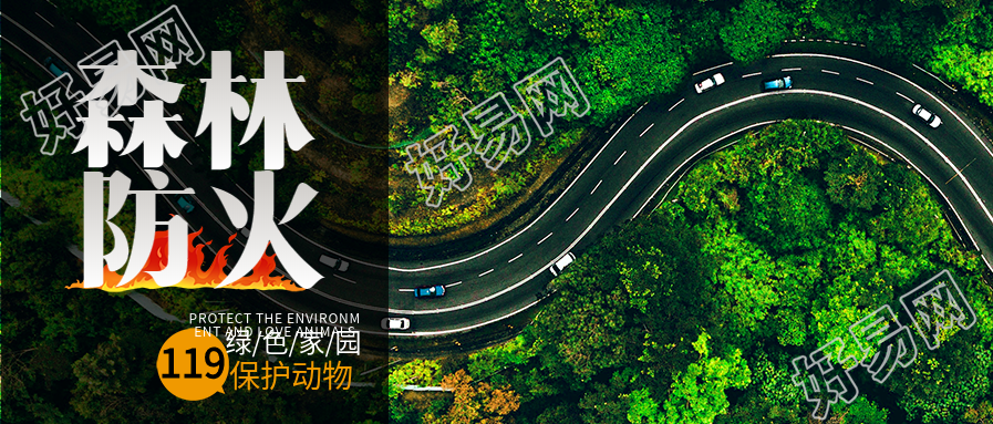 森林防火保护绿色家园实景微信公众号封面首图