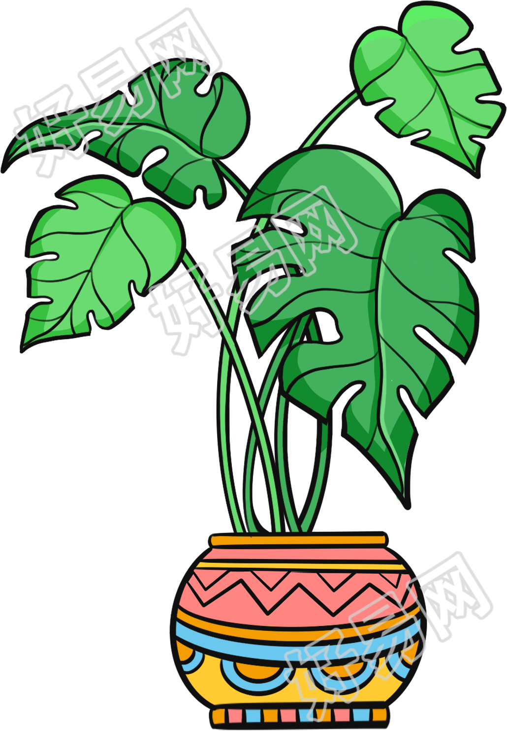 大叶子植物