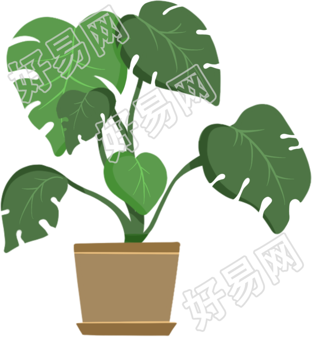 大叶植物