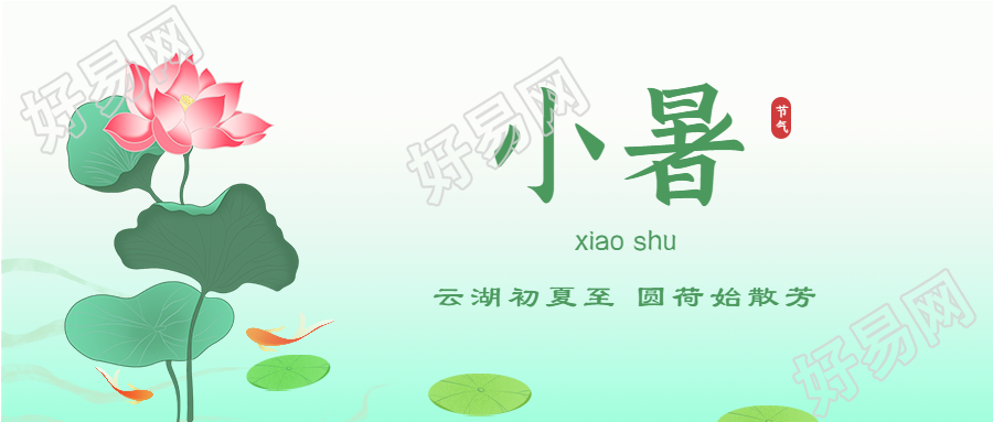 小暑二十四节气荷花中国风微信公众号封面首图