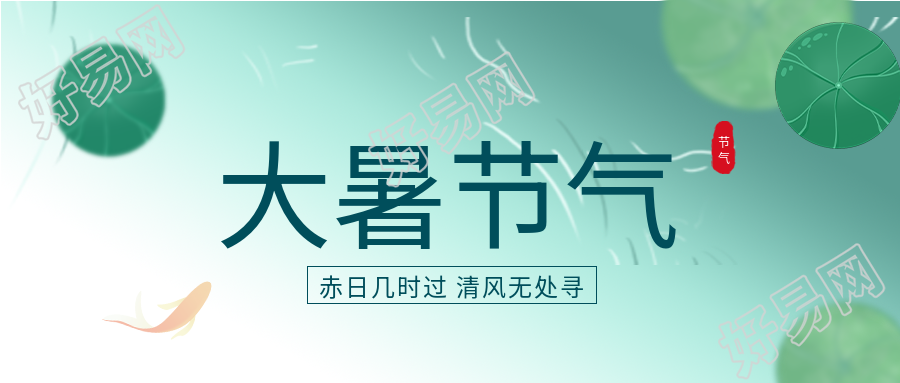 大暑24节气荷塘鲤鱼国风微信公众号封面首图