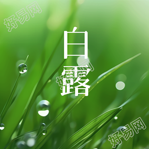 小清新二十四节气白露实景微信公众号次图