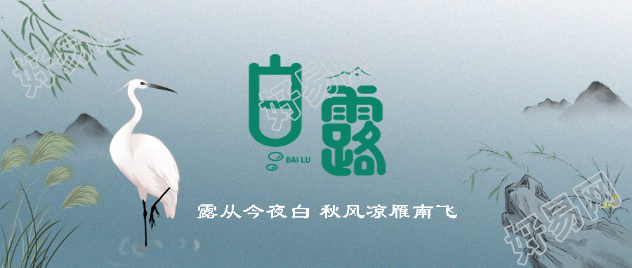 水墨奇石湖边白鹭24节气白露微信公众号首图