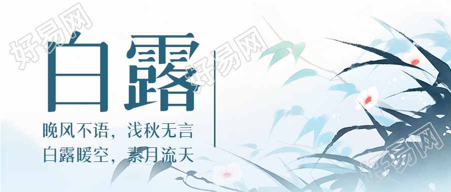 晚风不语浅秋无言白露暖空素月流天微信公众号首图