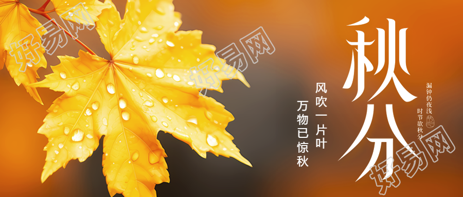 二十四节气秋分枫叶水滴实景微信公众号首图