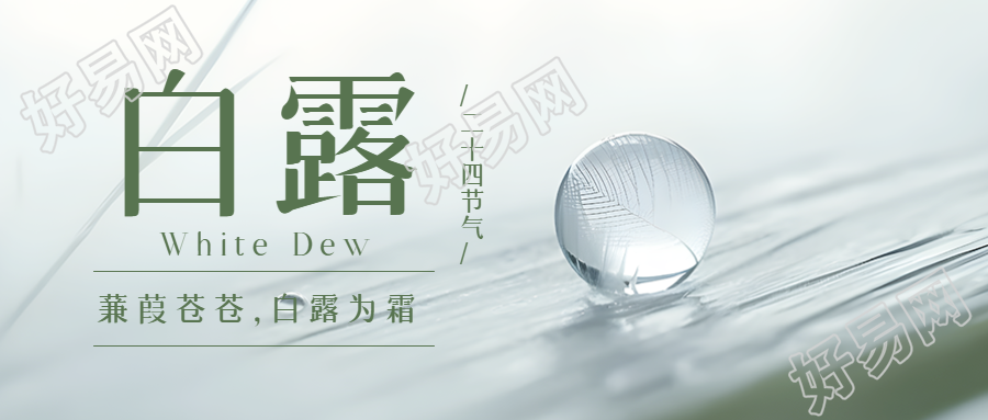 小水珠实景二十四节气白露微信公众号首图