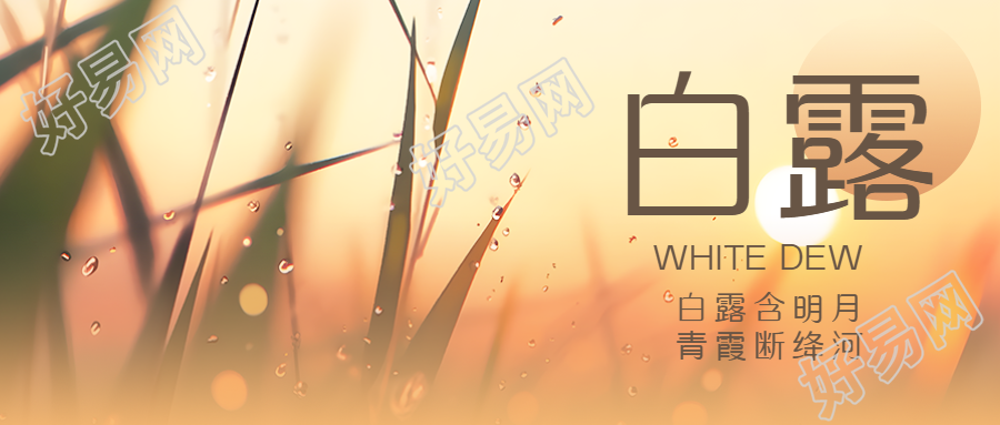 二十四节气白露夕阳小草剪影微信公众号首图