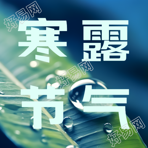 树叶露珠实景24节气寒露微信公众号次图