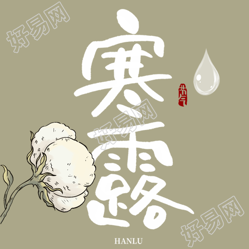 极简风棉花24节气寒露微信公众号次图