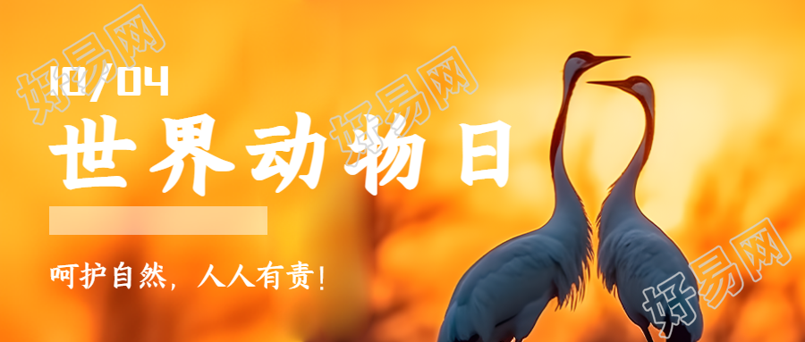 夕阳丹顶鹤实景世界动物日科普微信公众号首图