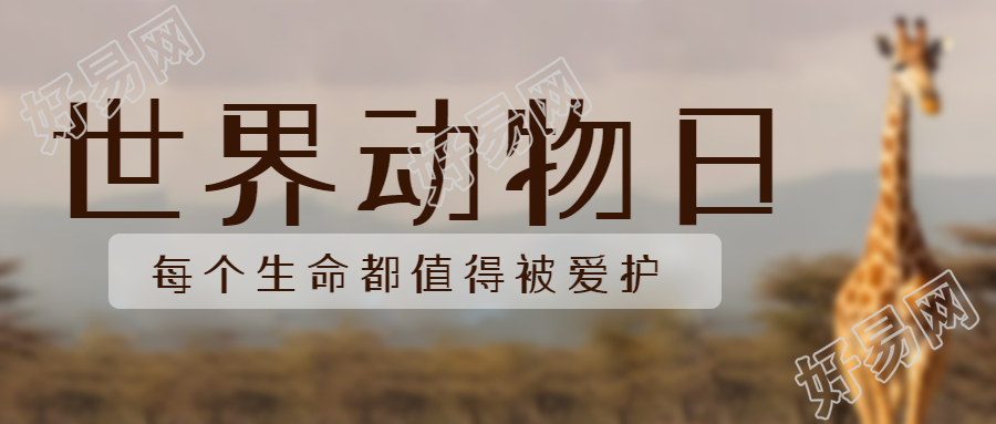 非洲大草原上的长颈鹿世界动物日微信公众号首图