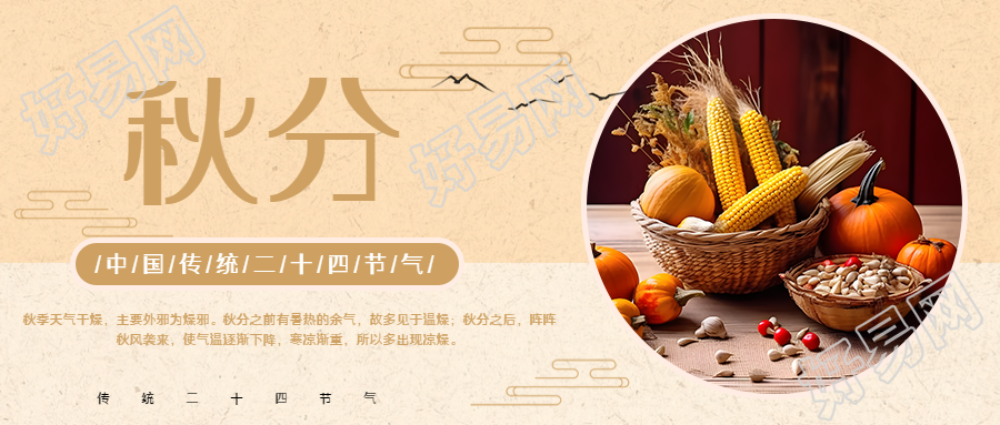 秋分节气丰收的玉米南瓜实景微信公众号首图