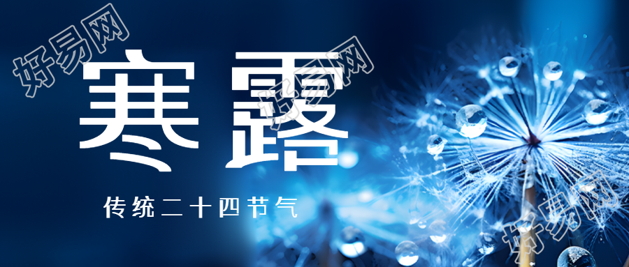 清晨蒲公英上的露珠寒露时节微信公众号首图
