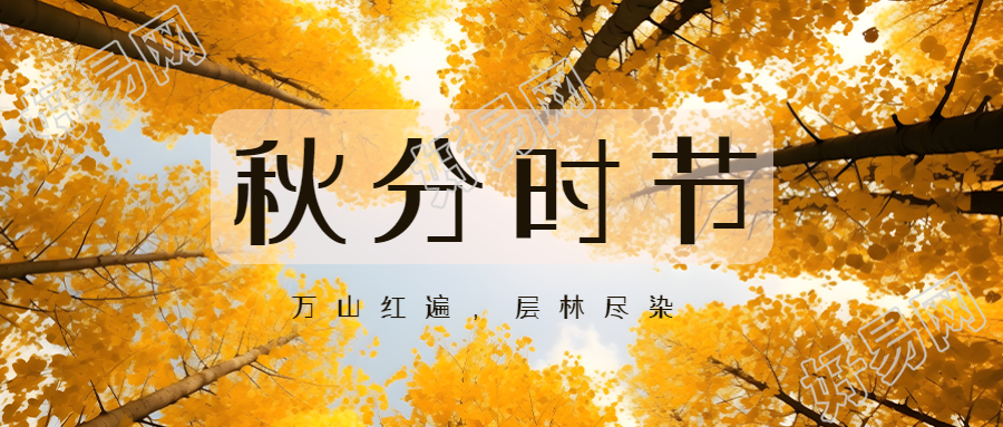 秋日银杏林美景24节气秋分微信公众号首图