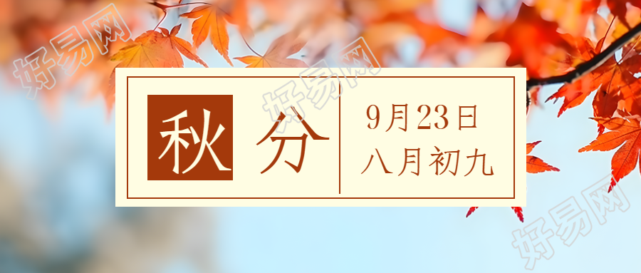 红色枫叶实景秋分时节创意微信公众号首图
