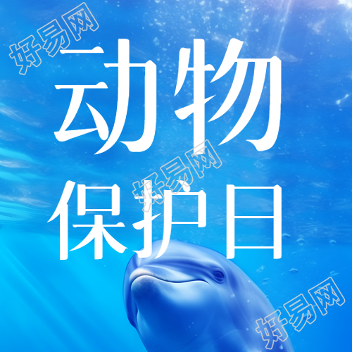 海洋中的海豚动物保护日实景微信公众号次图