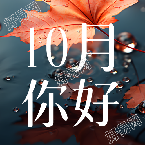 雨天的红枫叶10月你好简约微信公众号次图