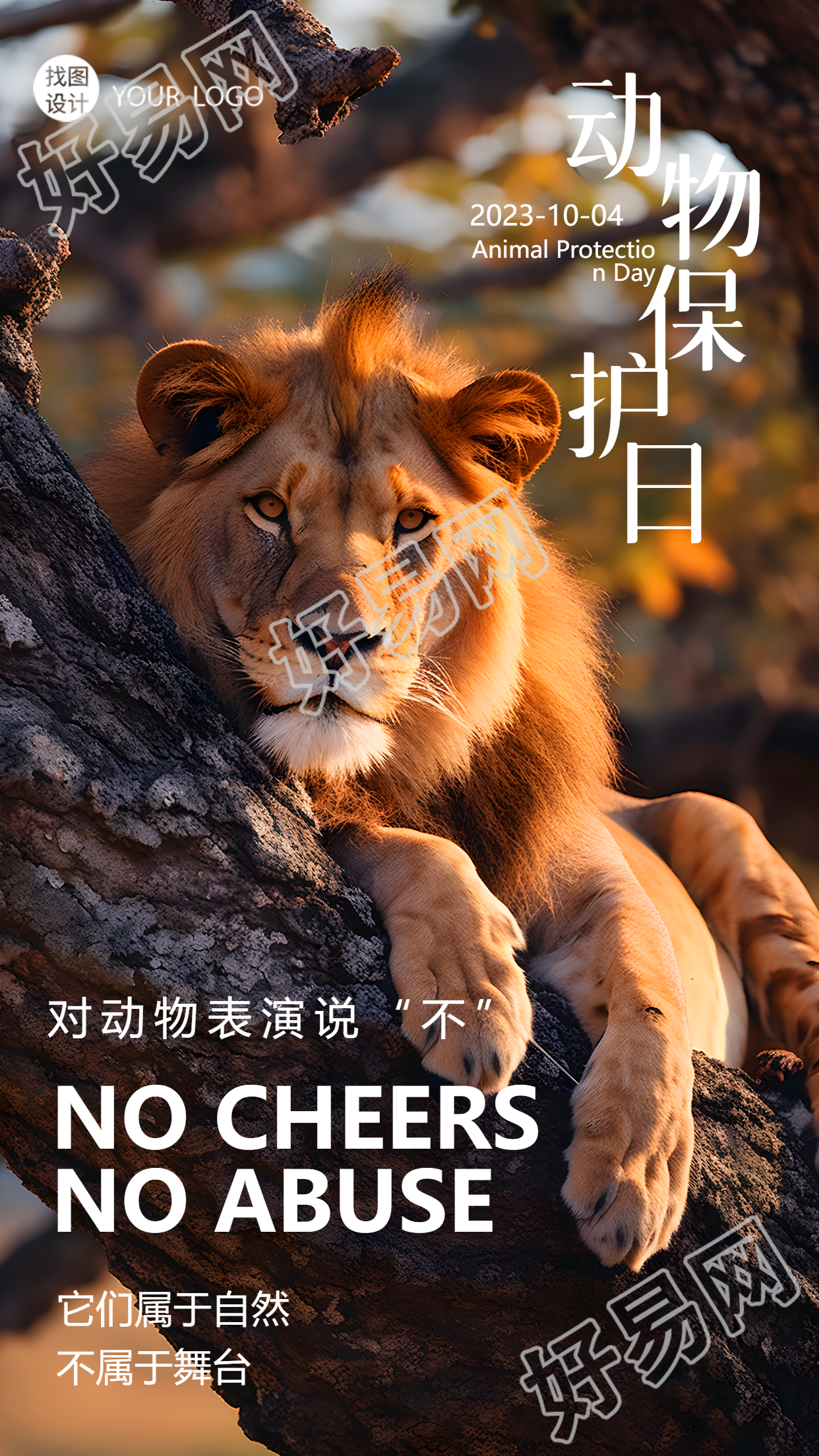 世界动物保护日趴在树上的狮子实景手机海报