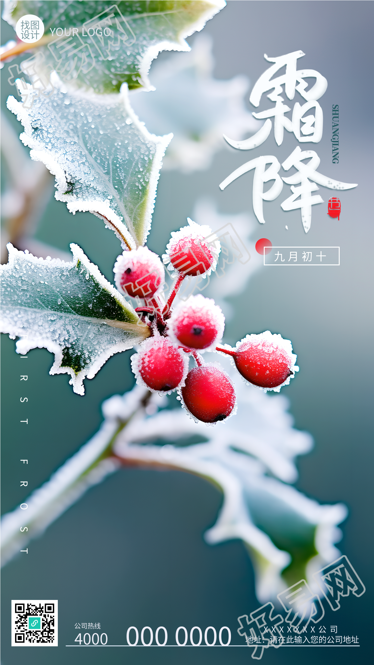 24节气霜降枝头的红色果实手机海报
