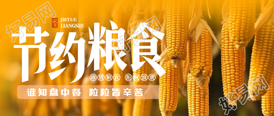 秋季丰收的玉米实景世界粮食日微信公众号首图