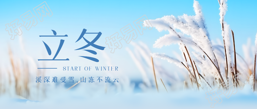 干枯的芦苇景色传统节气立冬微信公众号首图