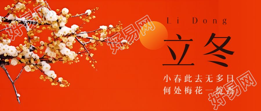 红色简约背景立冬节气雪中腊梅微信公众号首图