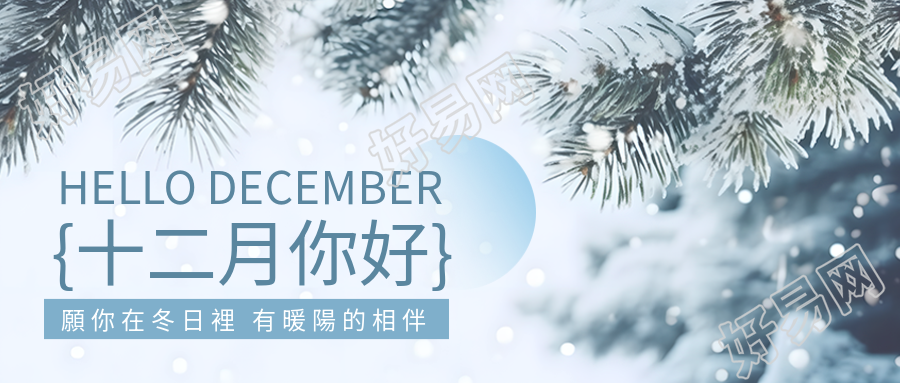 雪中松树景色十二月问候简约微信公众号封面