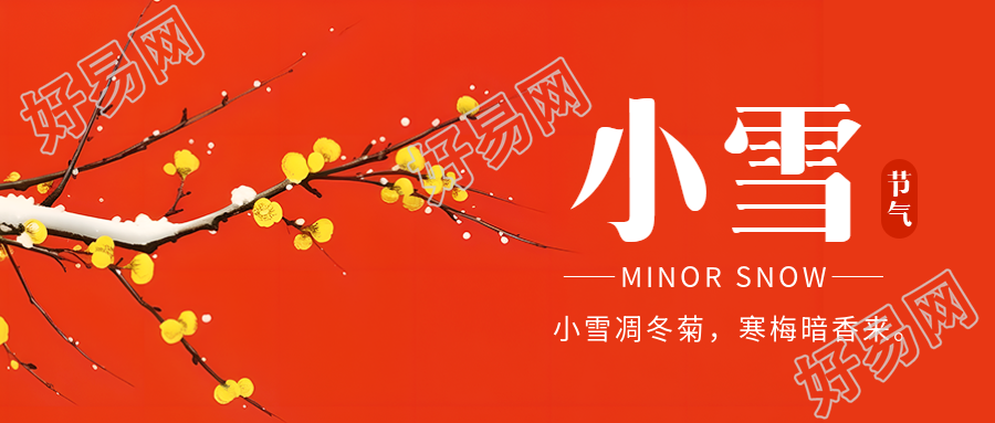 二十四节气小雪卡通风格的满天飞舞的蜡梅微信公众号标题