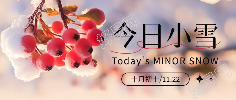 小雪时节红色果实在微信公众号的首图中迷人绽放