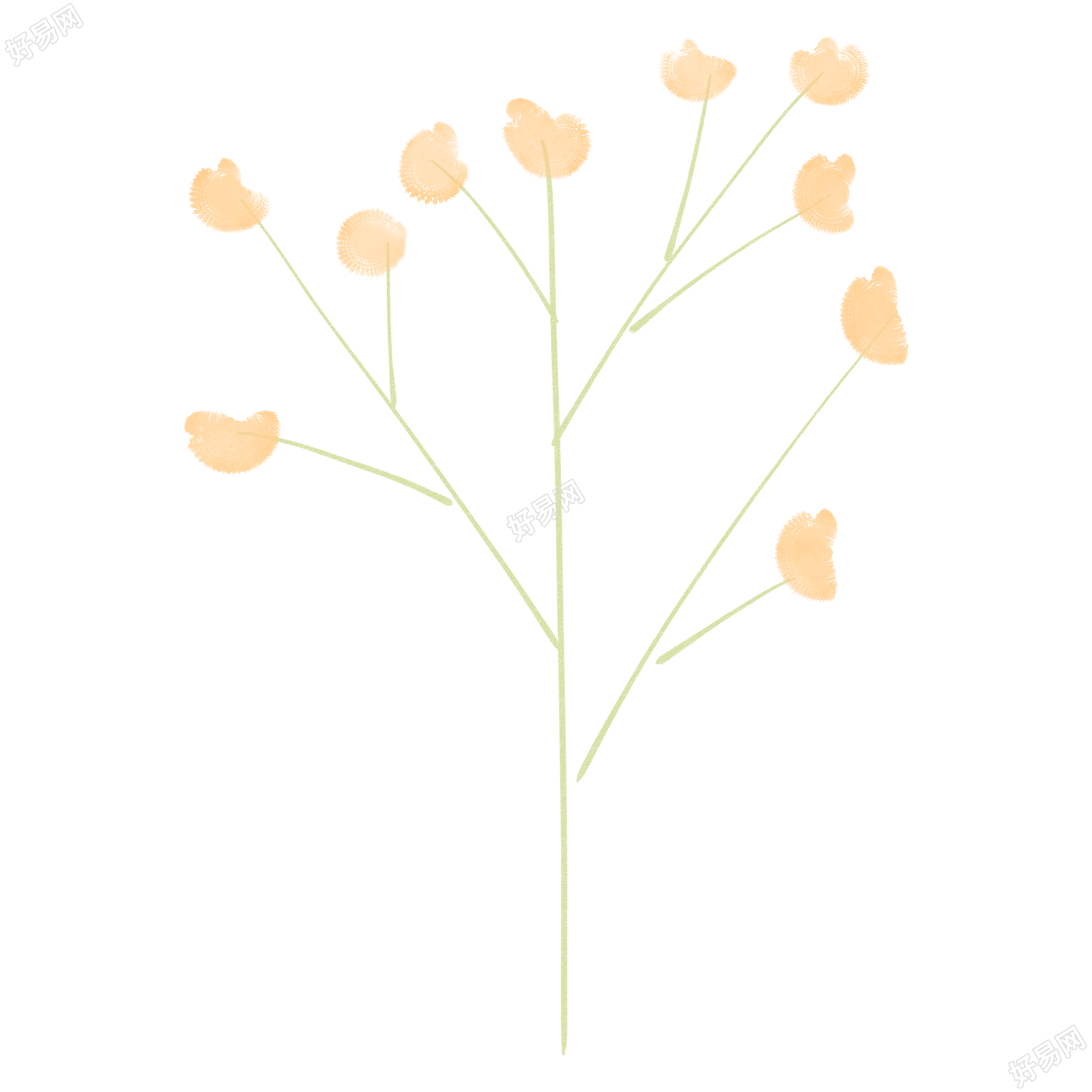 简约花朵枝干装饰插画的创意设计