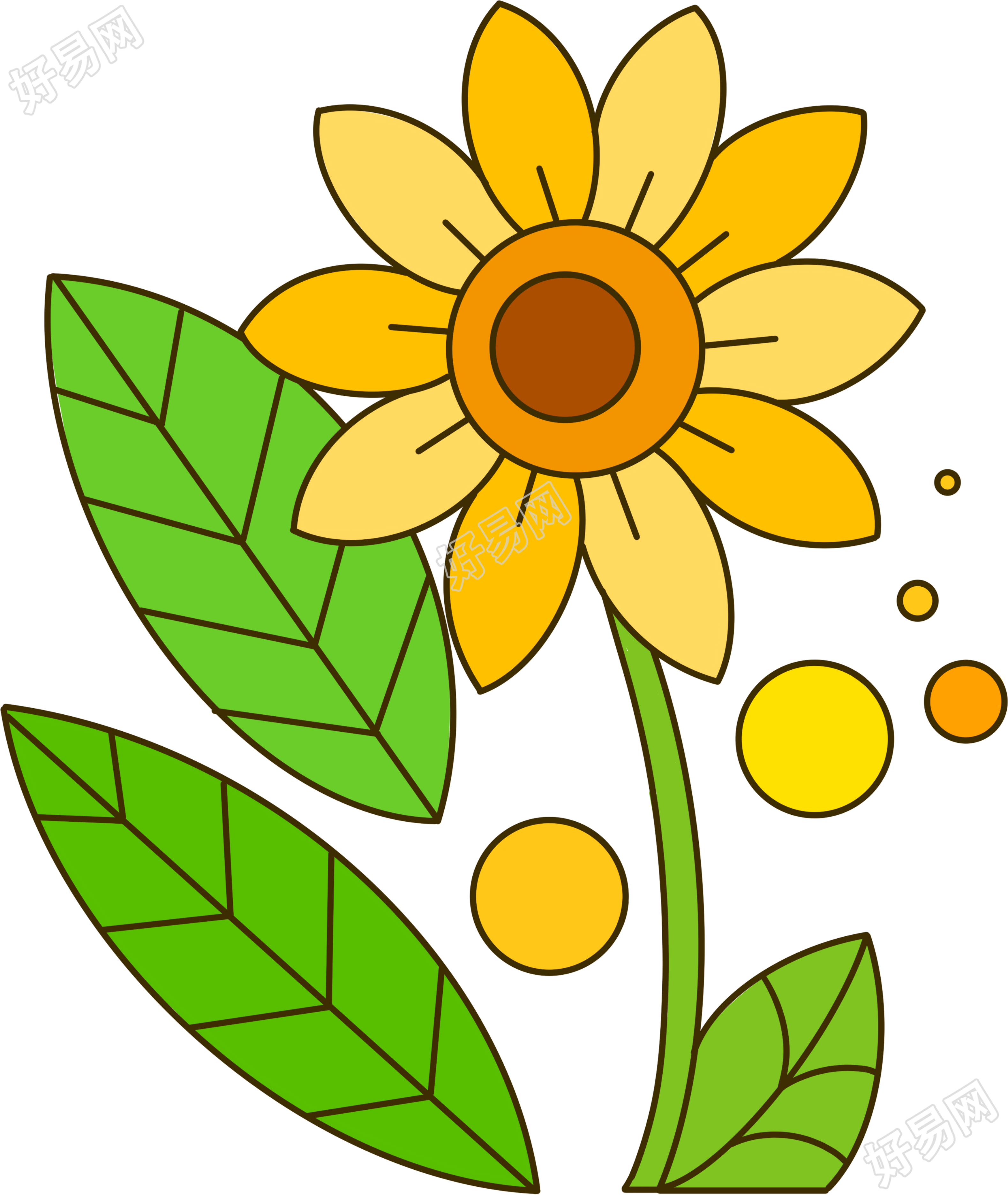 向日葵花粗线条手绘透明背景插图