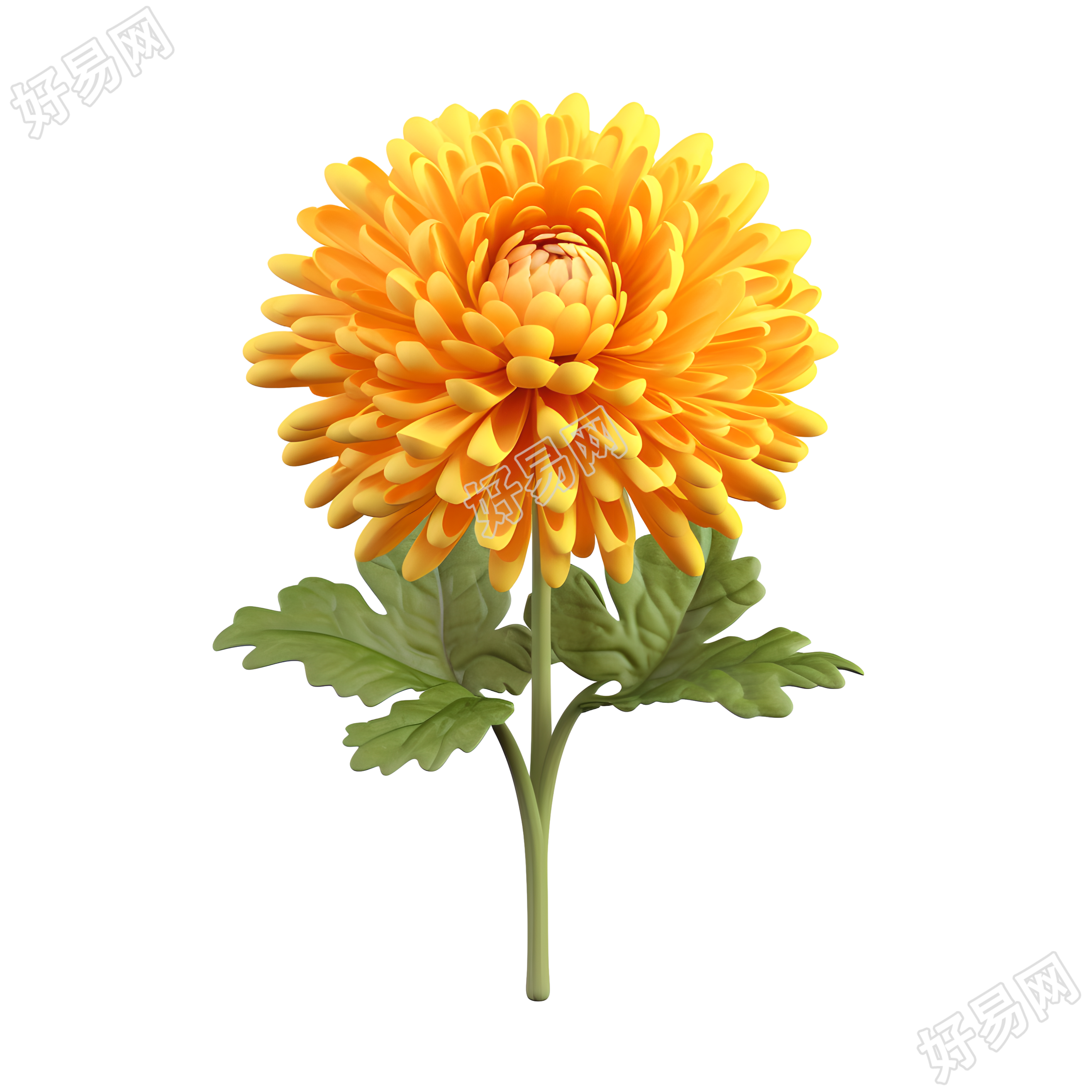 3D卡通白底黄色菊花插画设计
