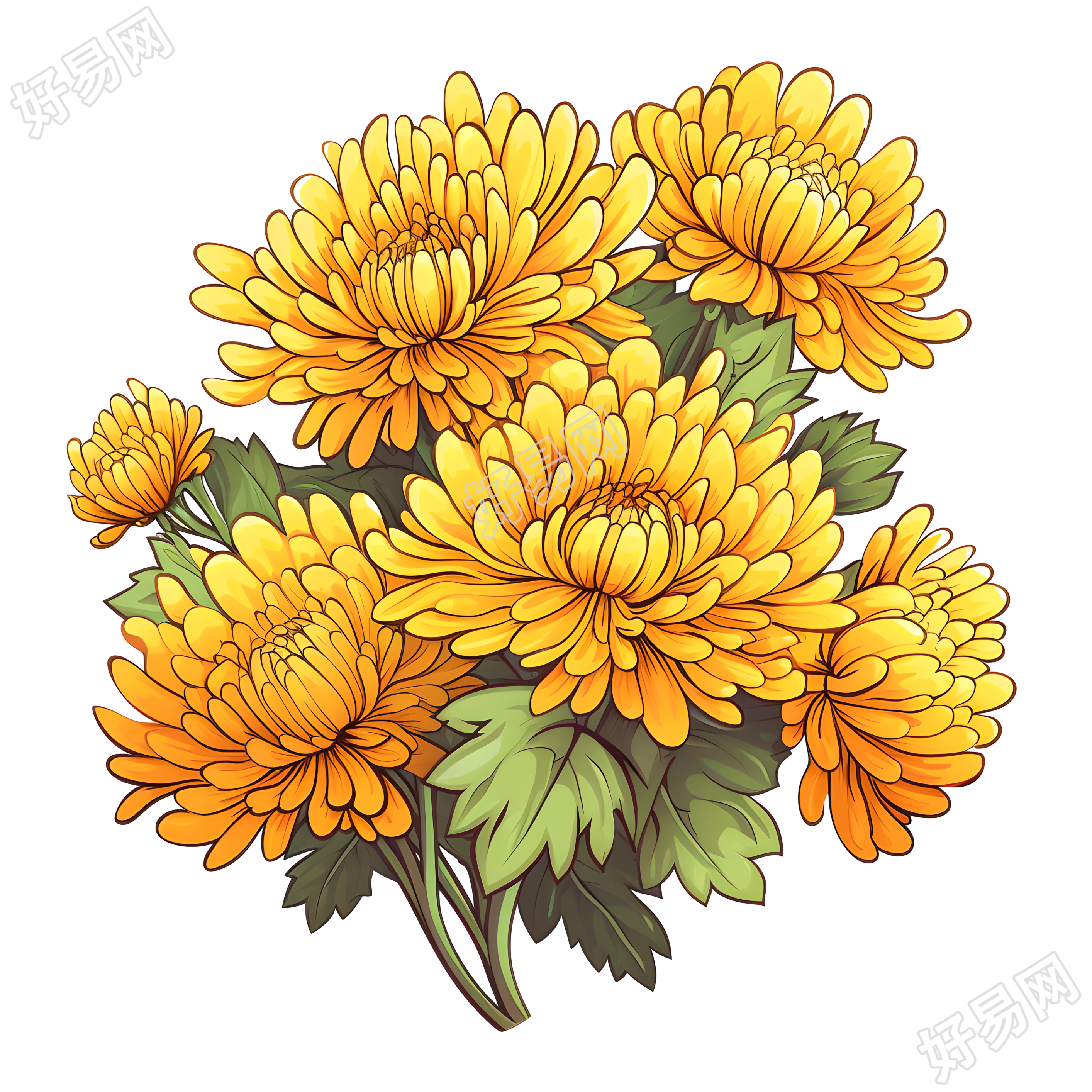 一大束黄色菊花与绿叶的插图
