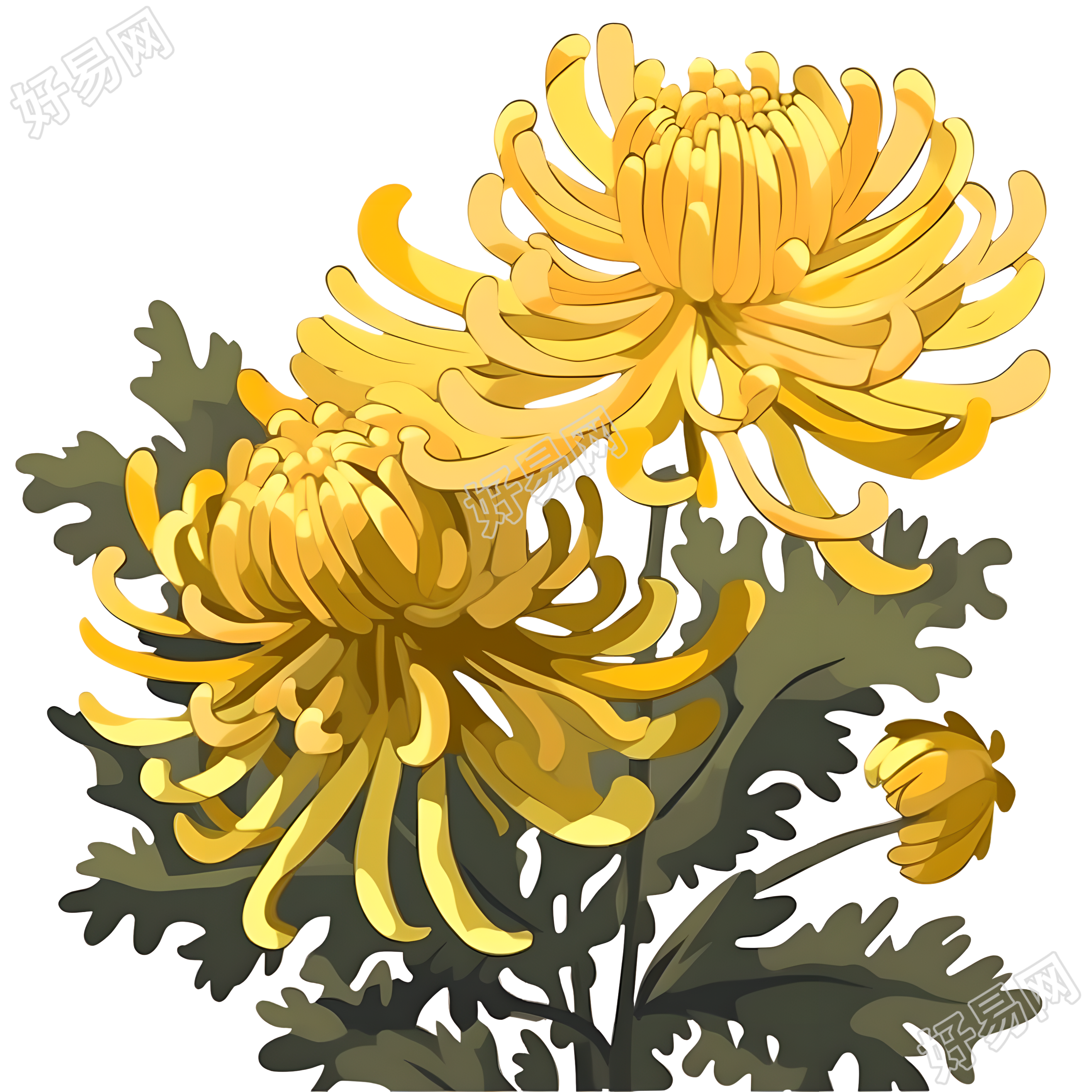 黄色和金色风格的菊花PNG素材