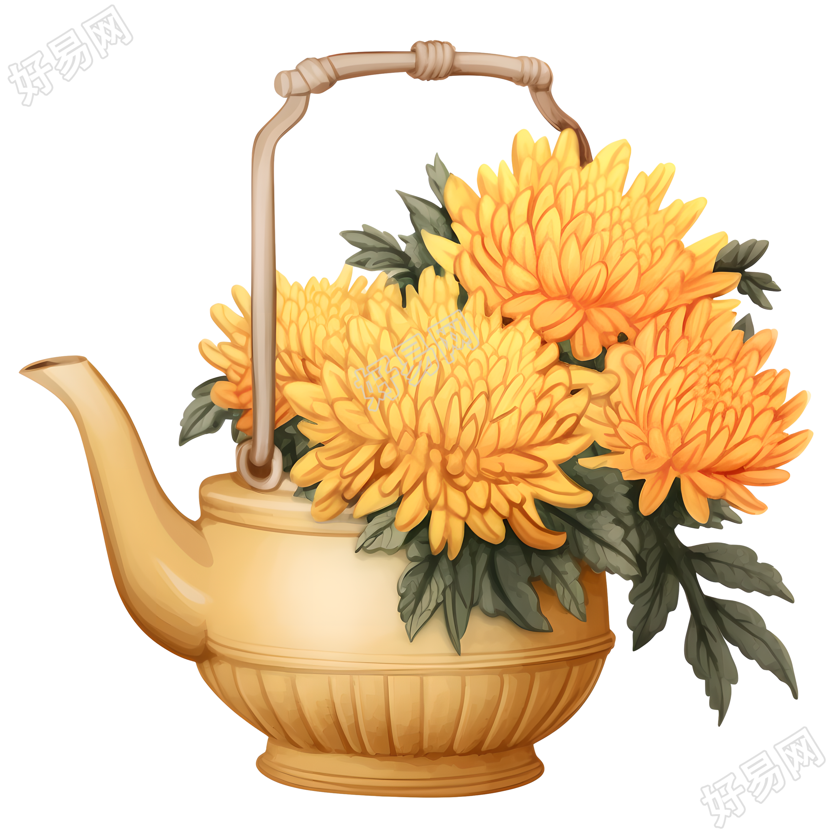 茶壶里的菊花超级色彩插图