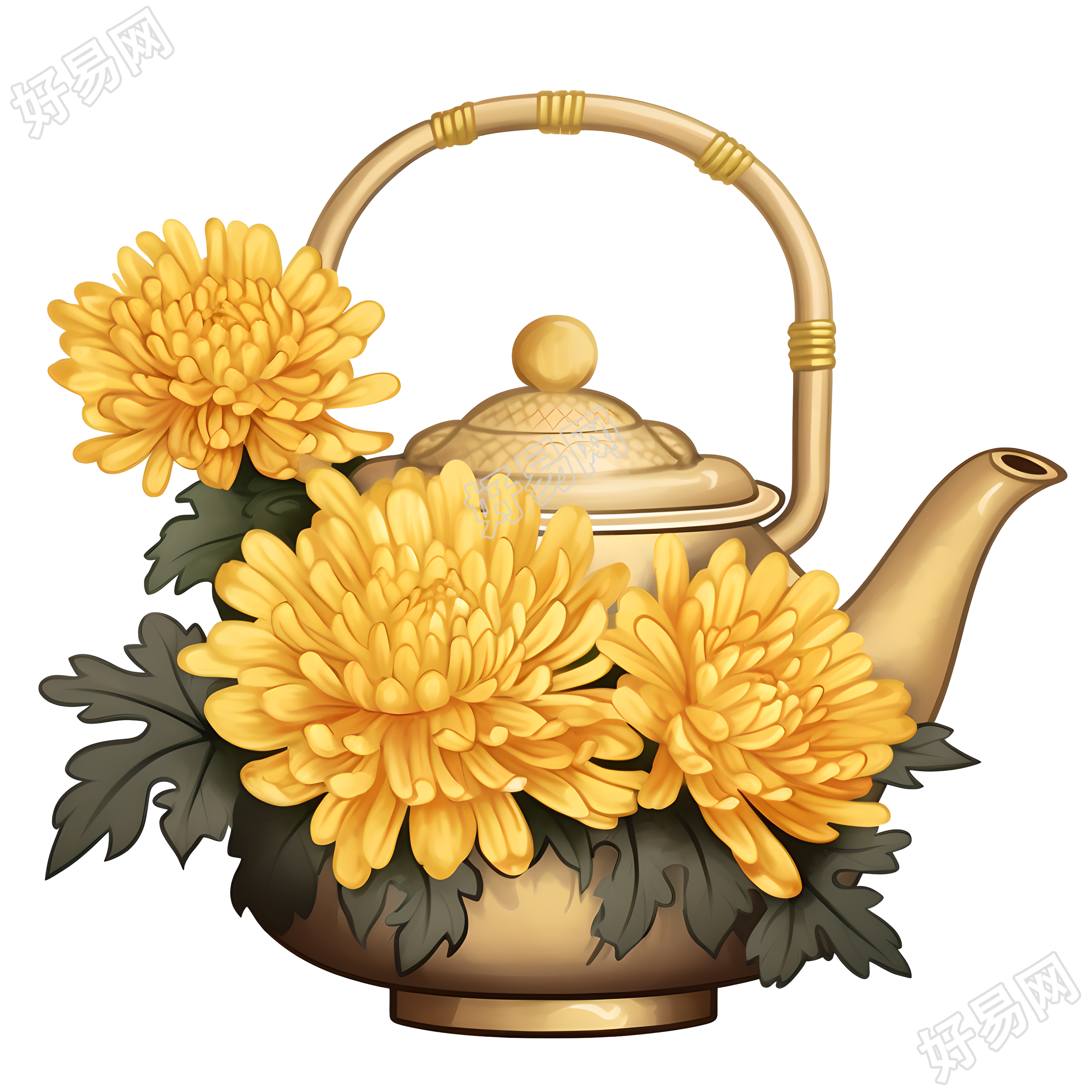透明背景菊花和茶壶插画