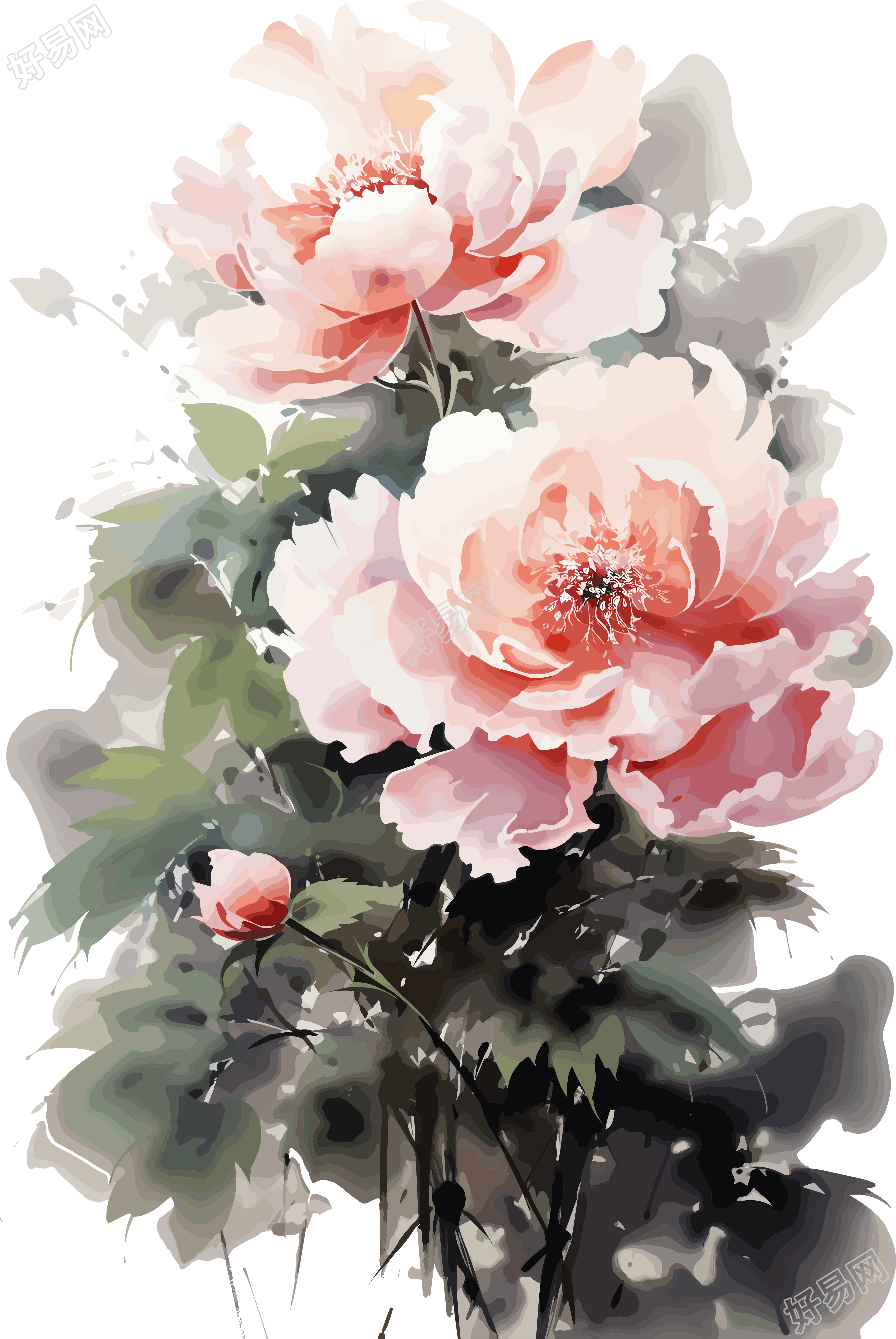 白底芍药绘画艺术素材