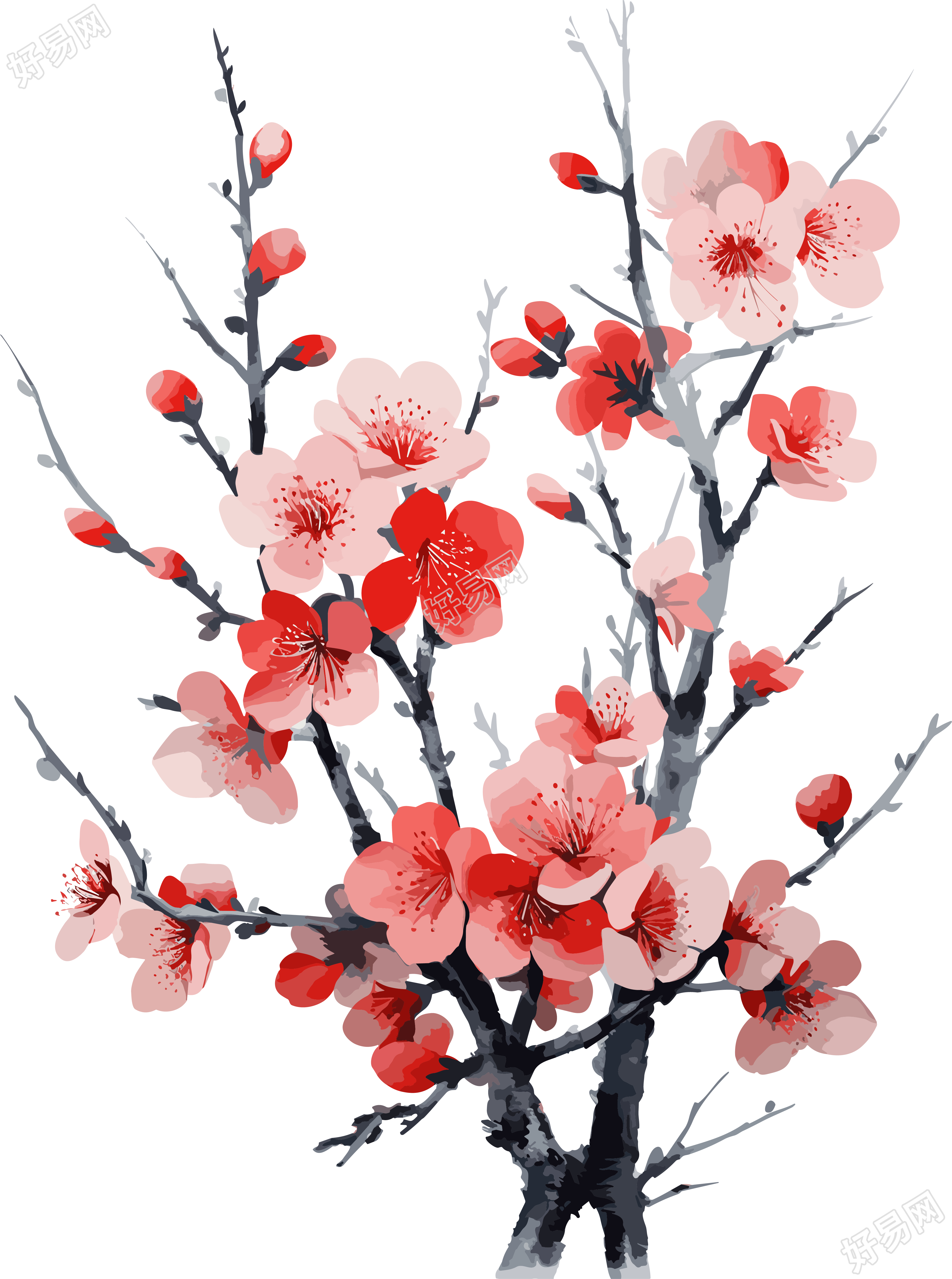 水彩画红樱花素材
