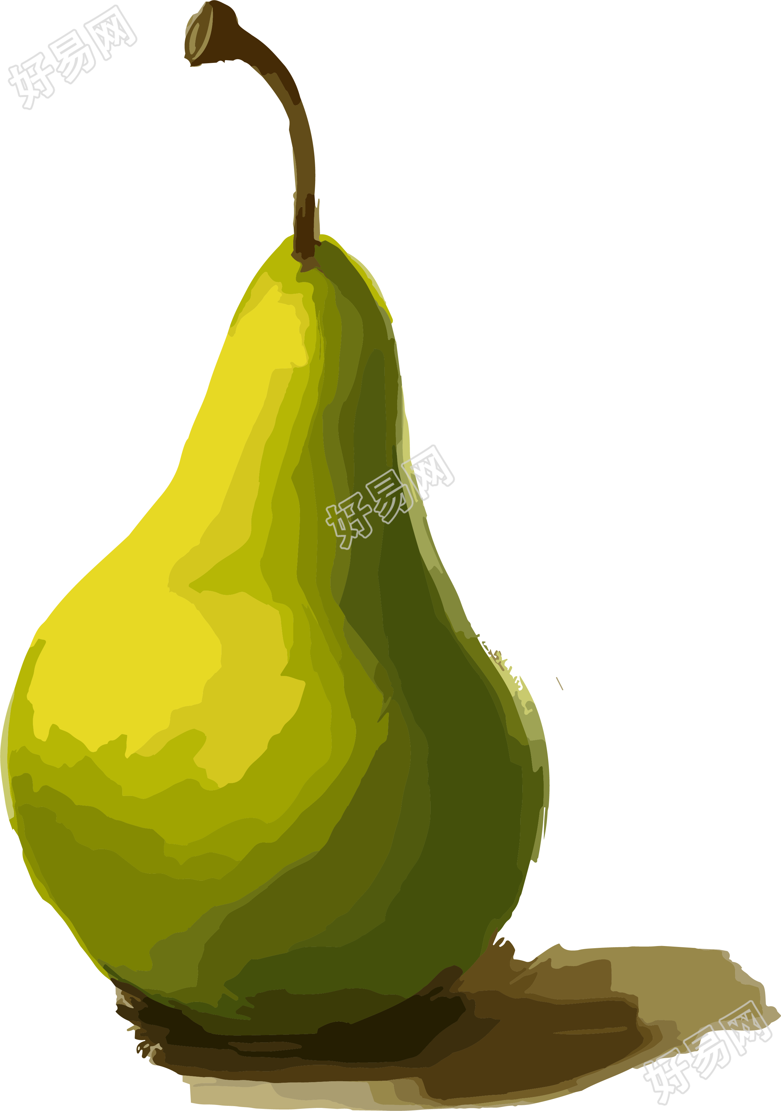 绿色梨子插画设计水彩风格素材