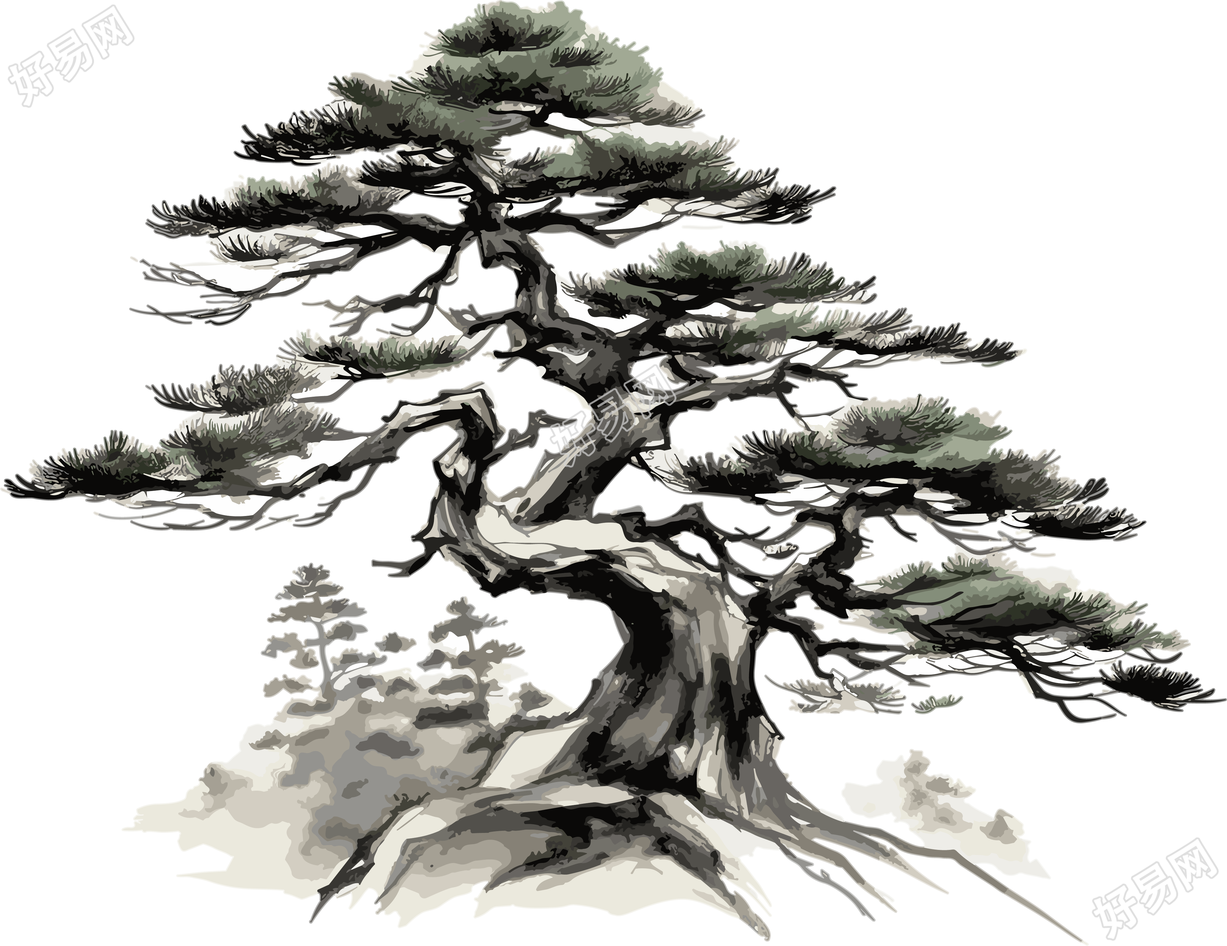 雄伟挺拔的高山松树素材