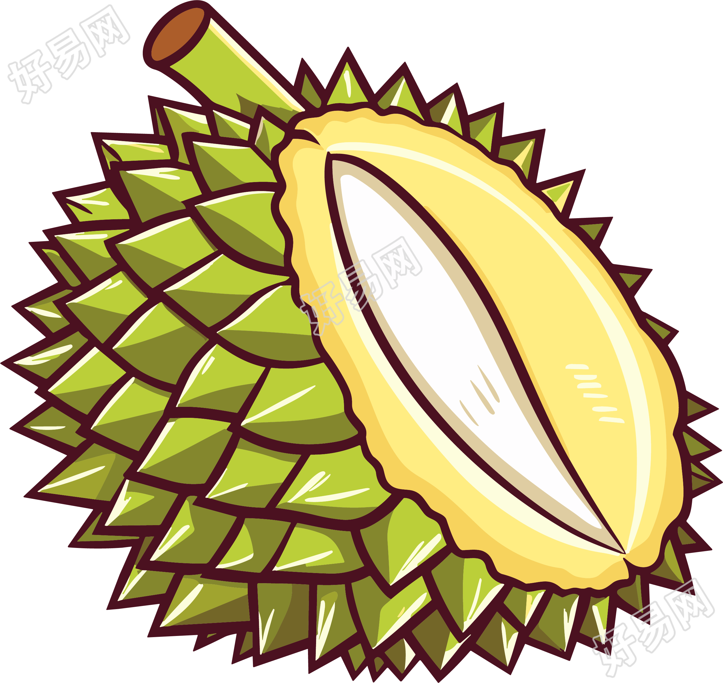 榴莲水果矢量插图