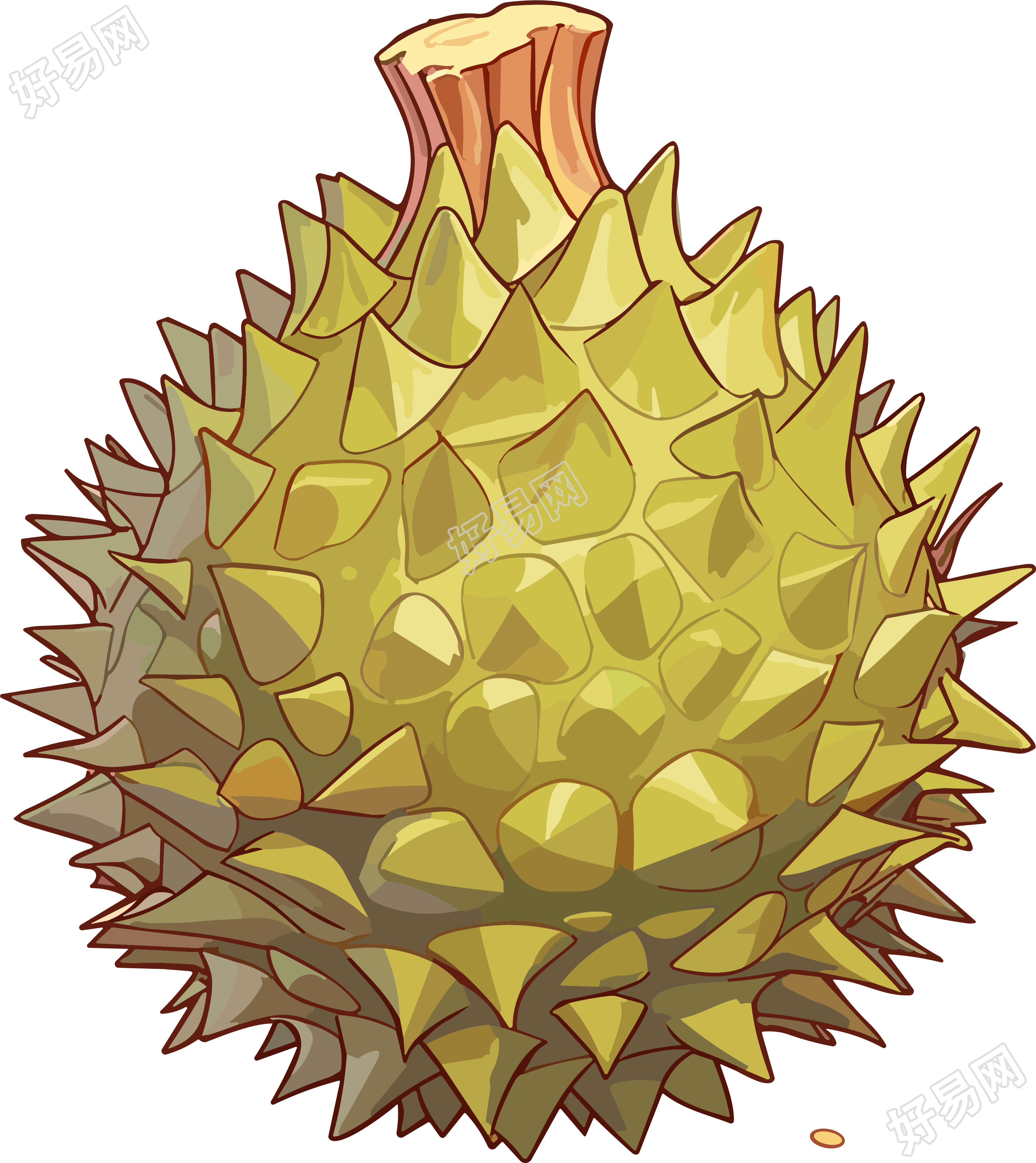 商业可用的榴莲PNG插画素材