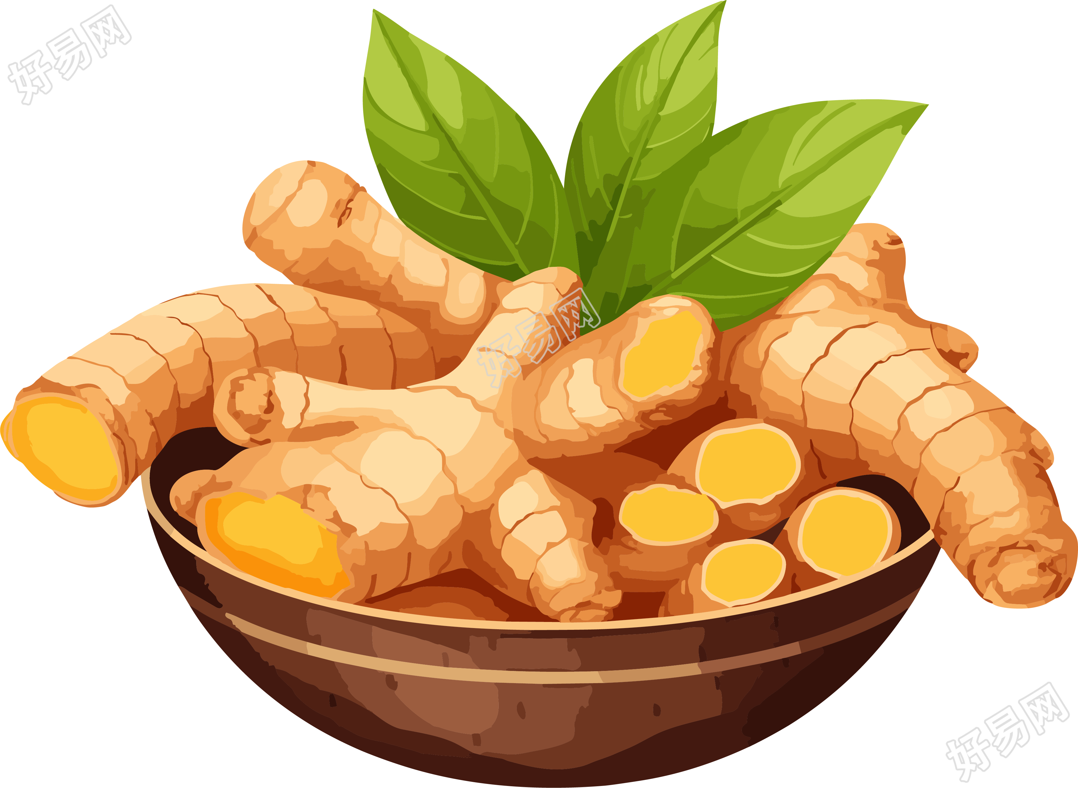 生姜创意设计元素PNG