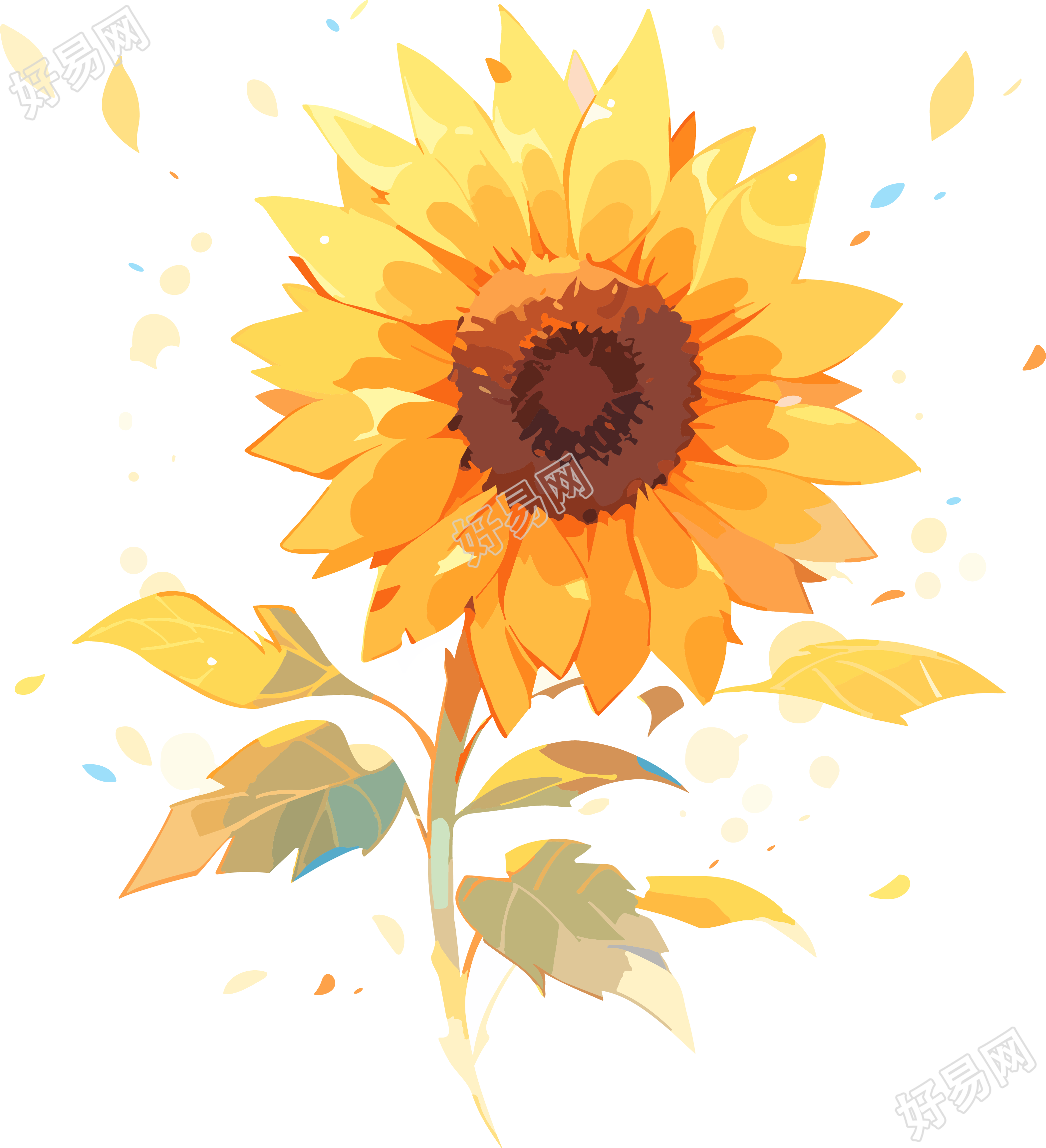 水彩风格太阳花插画PNG
