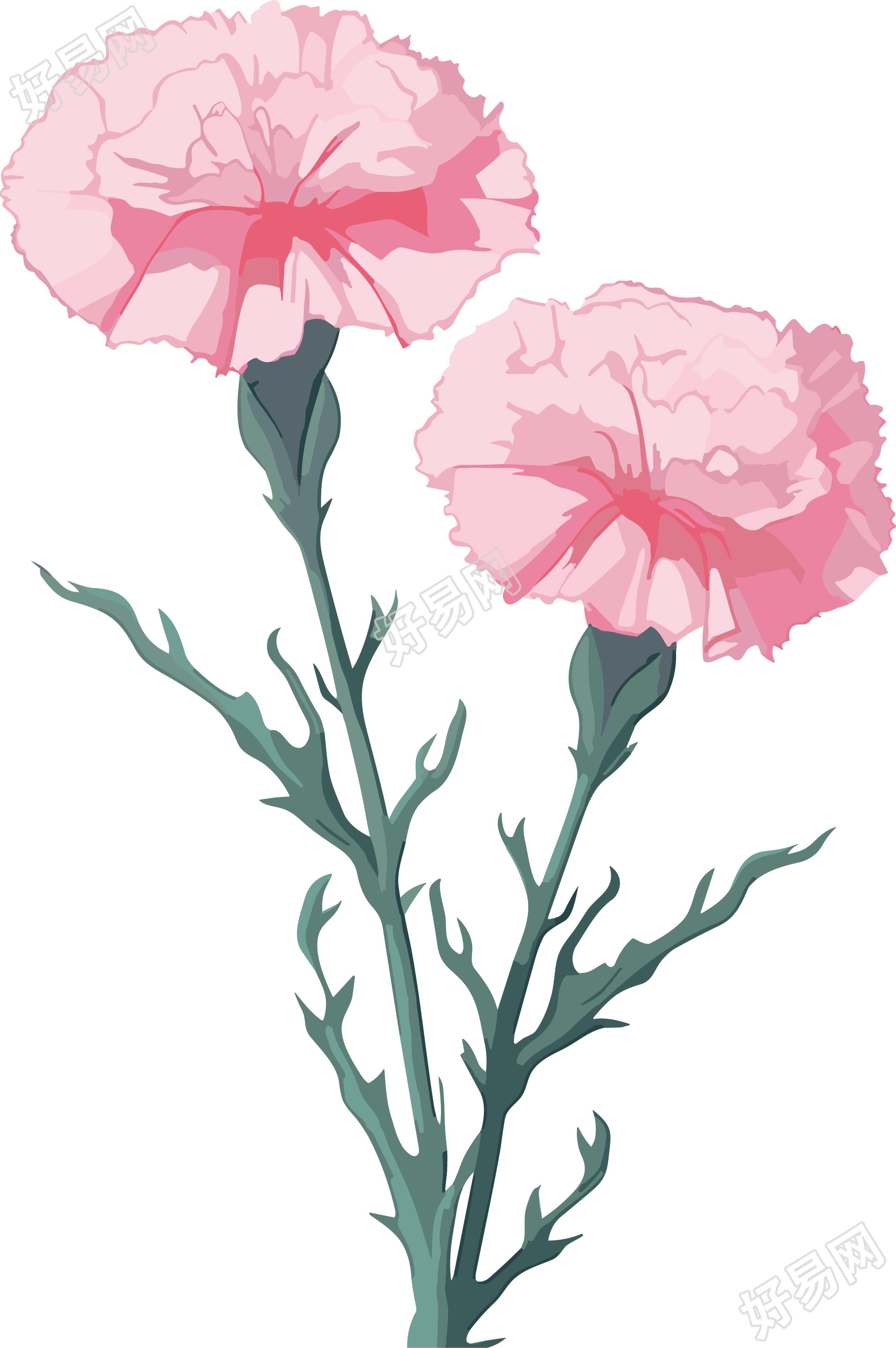 透明背景粉色康乃馨动漫插画设计元素