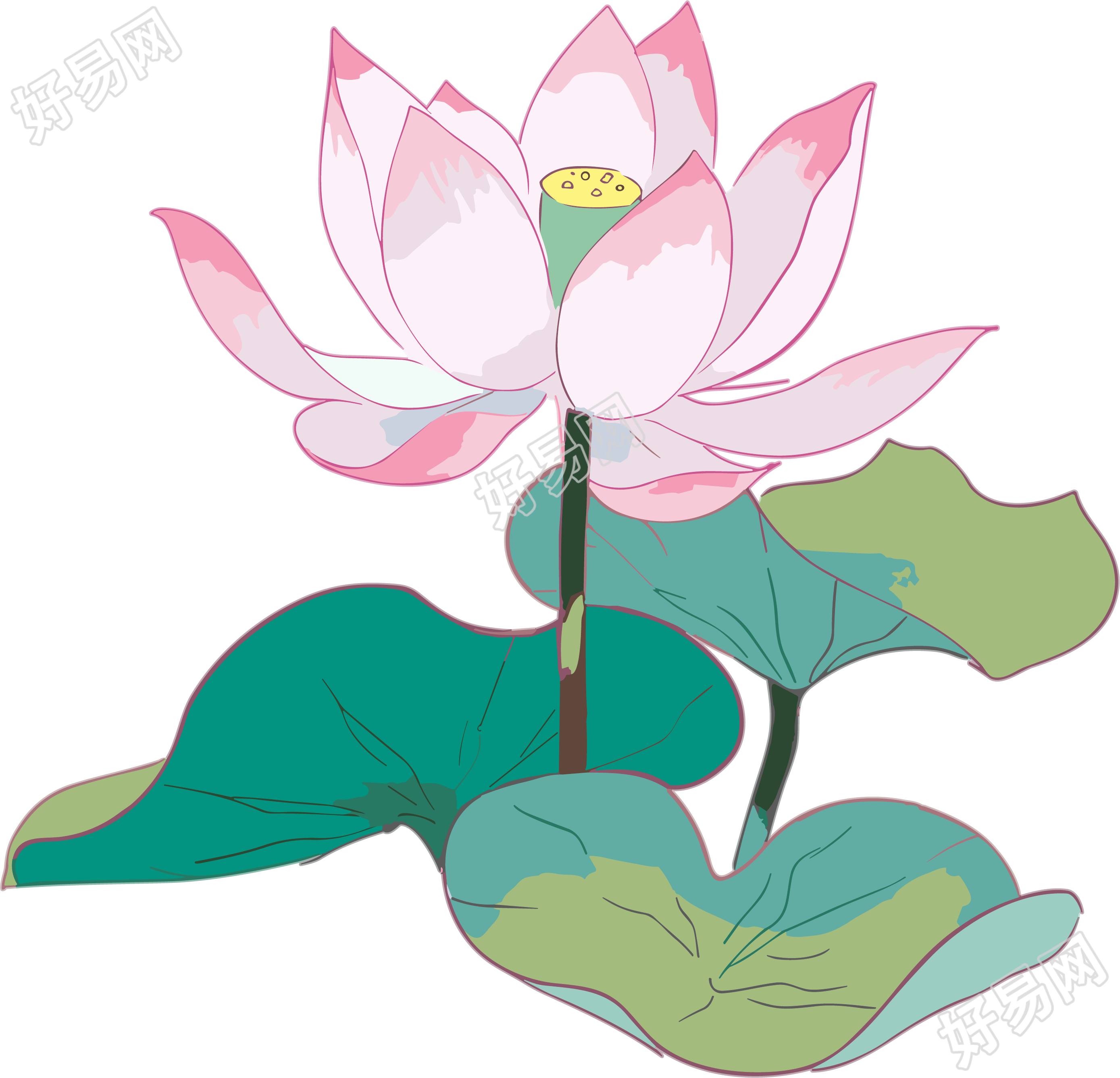 唯美粉色绽放的莲花插画